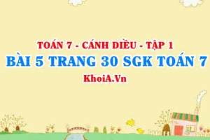 Bài 5 trang 30 SGK Toán 7 tập 1 Cánh Diều
